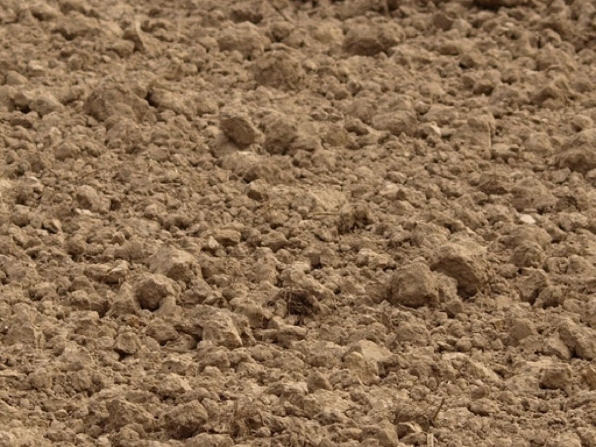 Freshly cultivated brown soil with small clods across a paddock